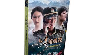 赵柯主演的电视剧 赵柯主演的电视剧